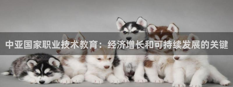 j9·九游会游戏中国官方网站|中亚国家职业技术教育：经济增长和可持续发展的关键